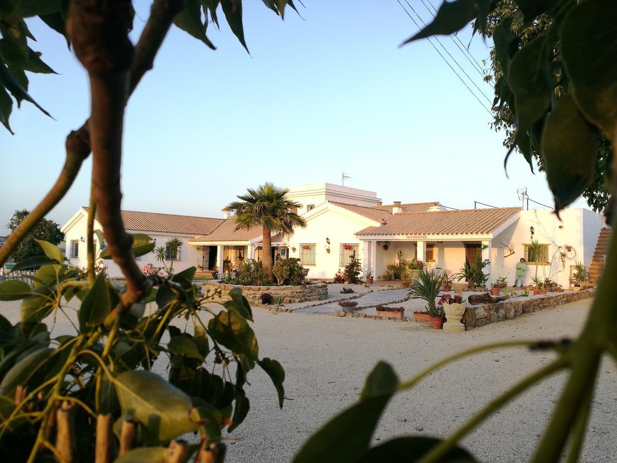 Hotel Casa Fina - Adults Recommended Conil De La Frontera Exteriör bild